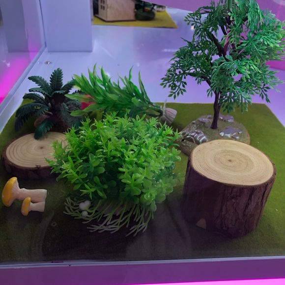 Meet your Posher, Siren - Picture 1 of 1